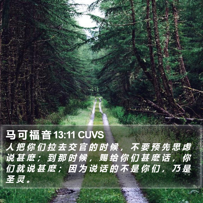 马 可 福 音 13:11 CUVS Bible Study