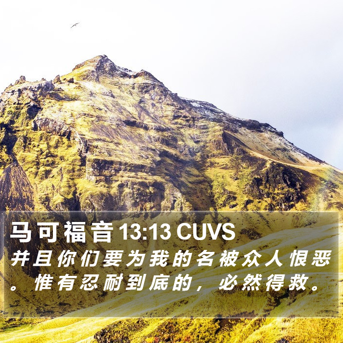 马 可 福 音 13:13 CUVS Bible Study