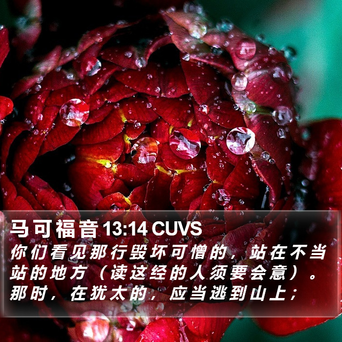 马 可 福 音 13:14 CUVS Bible Study