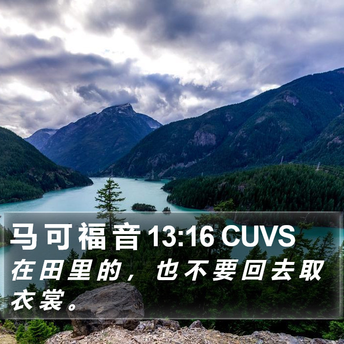 马 可 福 音 13:16 CUVS Bible Study