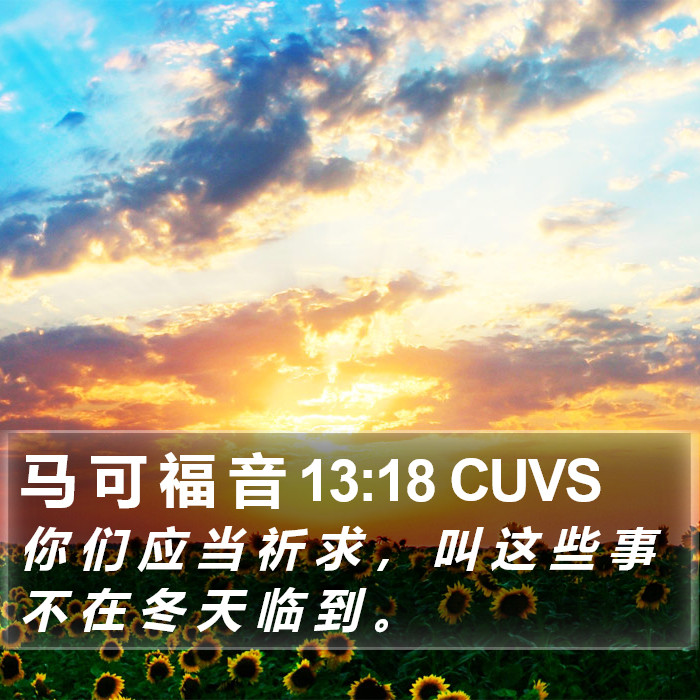 马 可 福 音 13:18 CUVS Bible Study