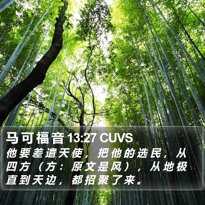 马 可 福 音 13:27 CUVS Bible Study