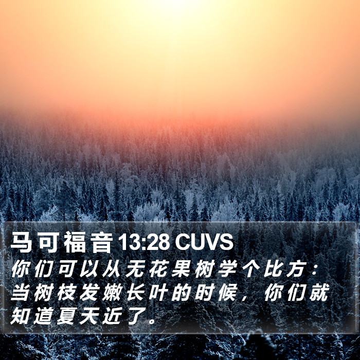 马 可 福 音 13:28 CUVS Bible Study