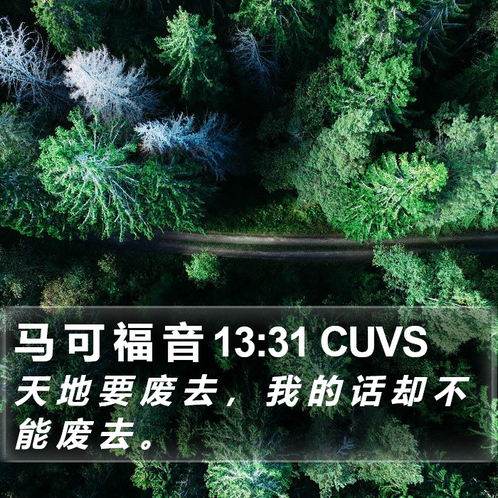 马 可 福 音 13:31 CUVS Bible Study