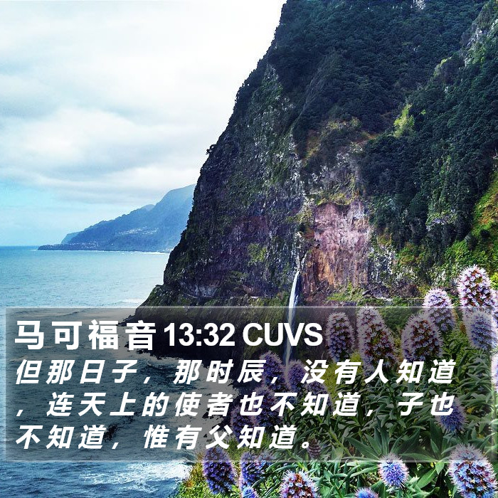 马 可 福 音 13:32 CUVS Bible Study