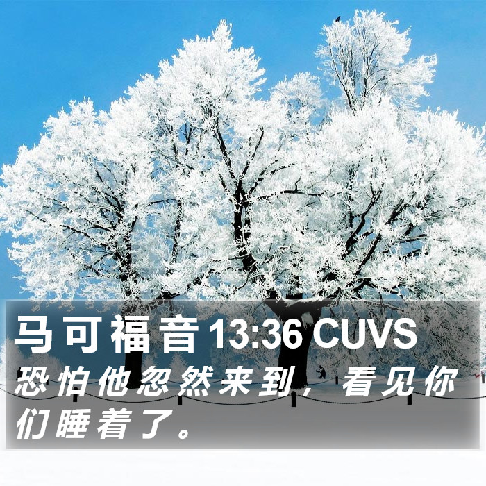 马 可 福 音 13:36 CUVS Bible Study