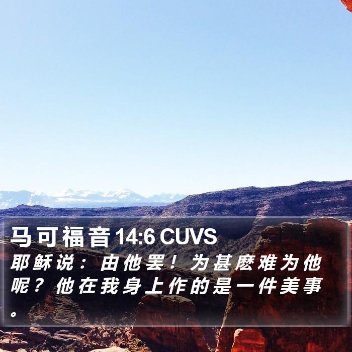 马 可 福 音 14:6 CUVS Bible Study