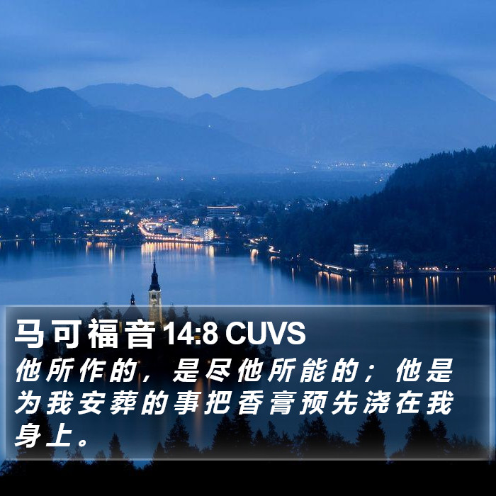 马 可 福 音 14:8 CUVS Bible Study