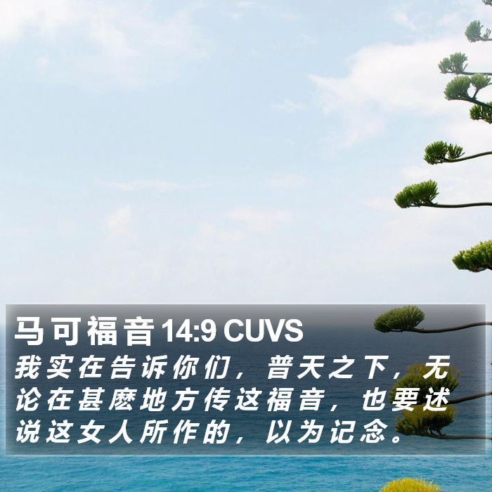 马 可 福 音 14:9 CUVS Bible Study