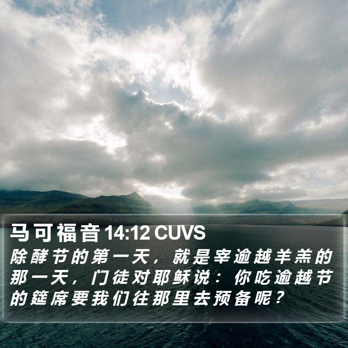 马 可 福 音 14:12 CUVS Bible Study