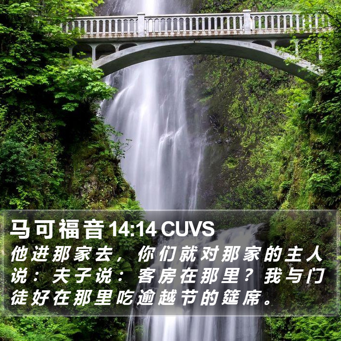 马 可 福 音 14:14 CUVS Bible Study