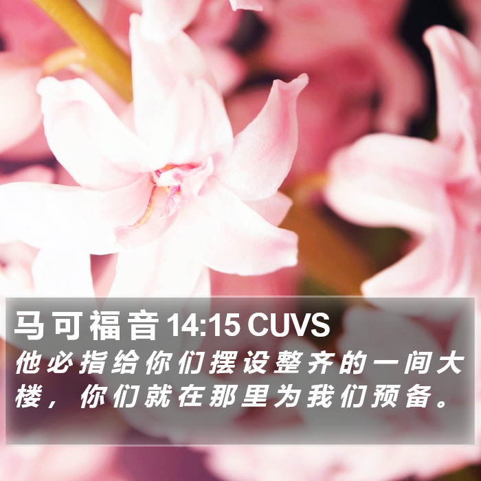 马 可 福 音 14:15 CUVS Bible Study