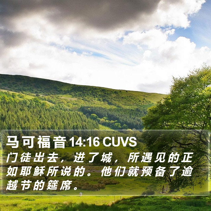 马 可 福 音 14:16 CUVS Bible Study