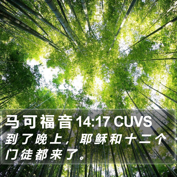 马 可 福 音 14:17 CUVS Bible Study