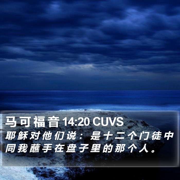 马 可 福 音 14:20 CUVS Bible Study