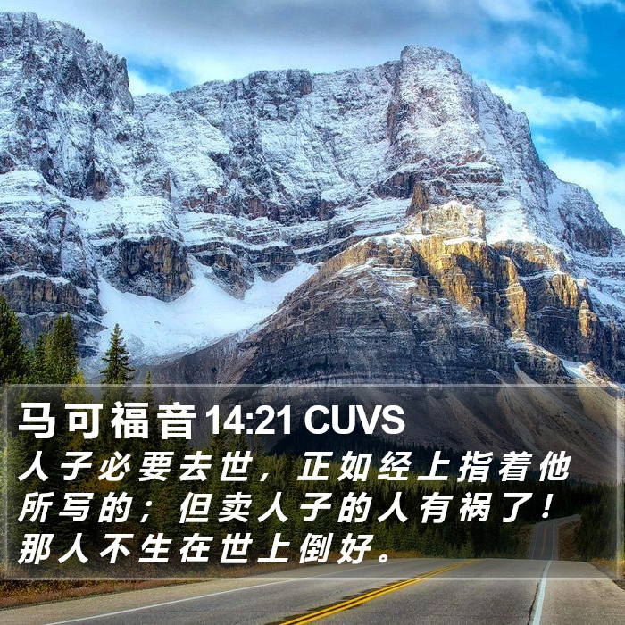 马 可 福 音 14:21 CUVS Bible Study