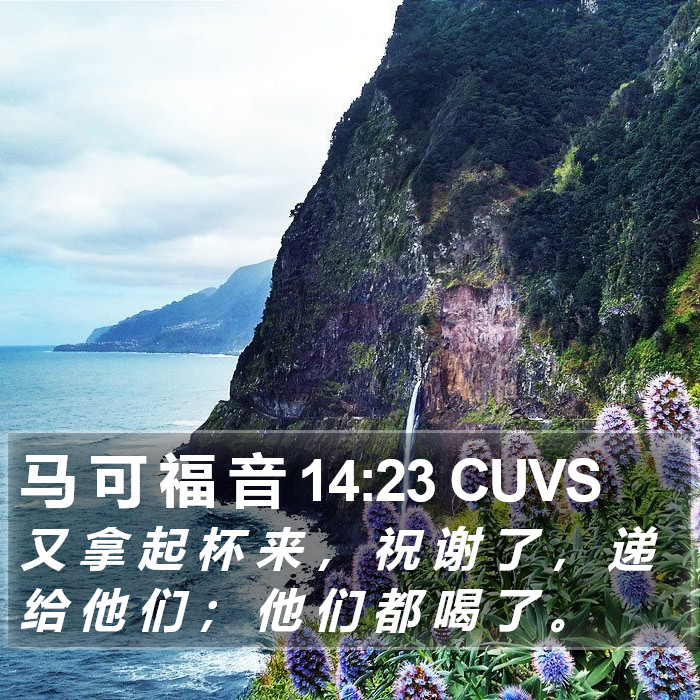 马 可 福 音 14:23 CUVS Bible Study