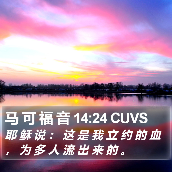 马 可 福 音 14:24 CUVS Bible Study