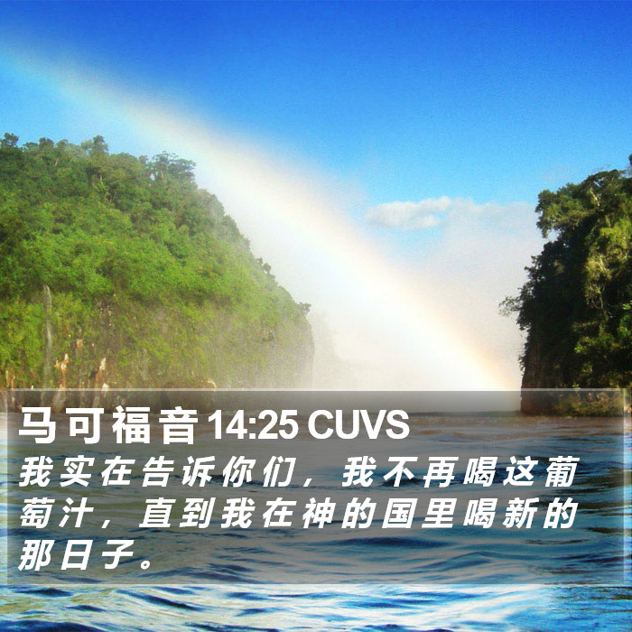 马 可 福 音 14:25 CUVS Bible Study