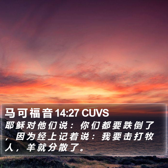 马 可 福 音 14:27 CUVS Bible Study