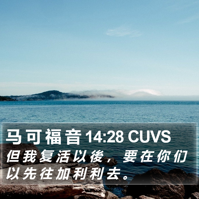 马 可 福 音 14:28 CUVS Bible Study