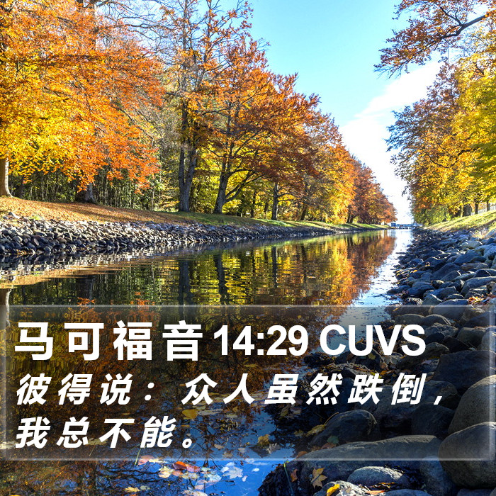 马 可 福 音 14:29 CUVS Bible Study