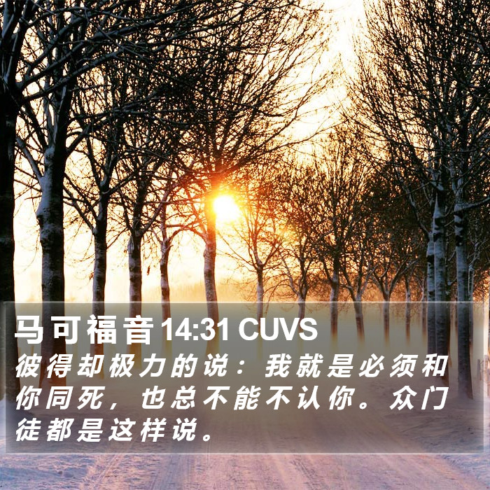 马 可 福 音 14:31 CUVS Bible Study