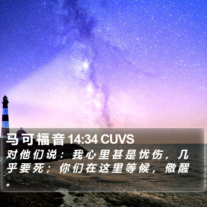 马 可 福 音 14:34 CUVS Bible Study