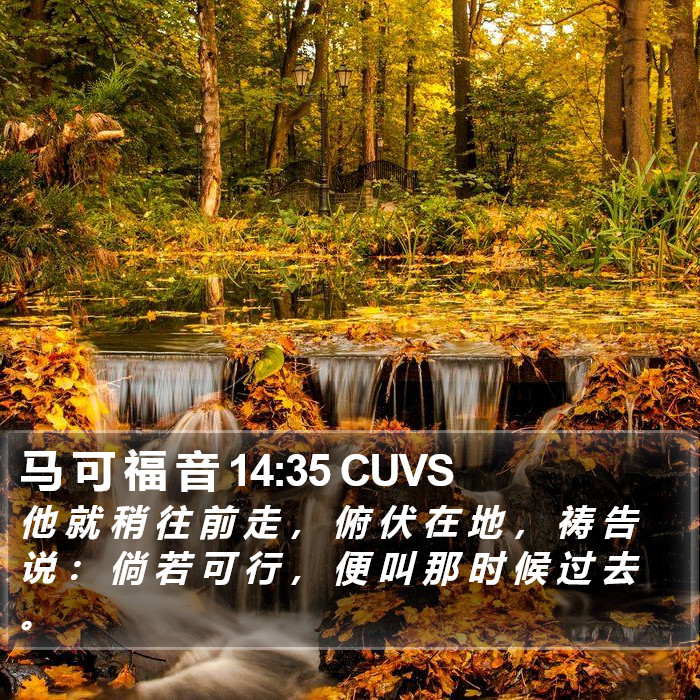 马 可 福 音 14:35 CUVS Bible Study