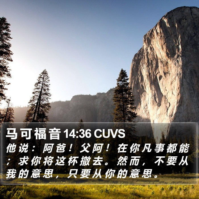 马 可 福 音 14:36 CUVS Bible Study