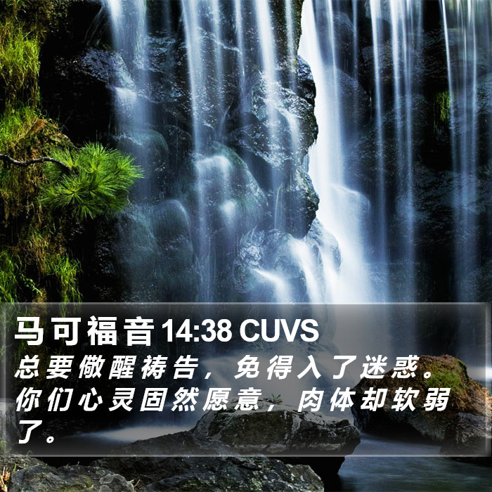 马 可 福 音 14:38 CUVS Bible Study