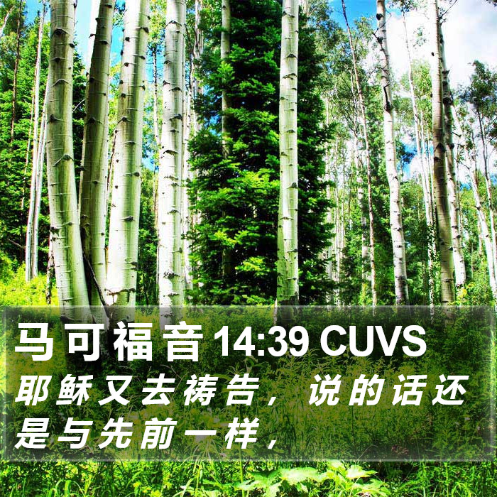 马 可 福 音 14:39 CUVS Bible Study