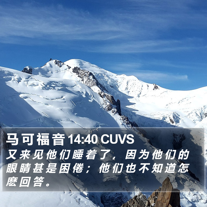 马 可 福 音 14:40 CUVS Bible Study