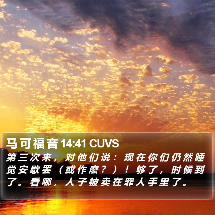 马 可 福 音 14:41 CUVS Bible Study