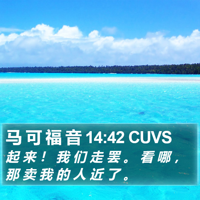 马 可 福 音 14:42 CUVS Bible Study