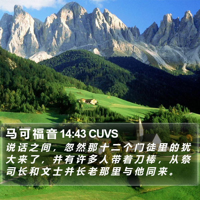 马 可 福 音 14:43 CUVS Bible Study