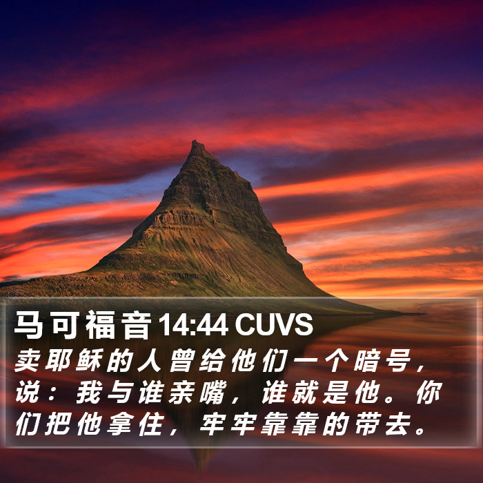 马 可 福 音 14:44 CUVS Bible Study