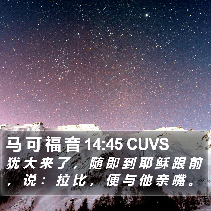 马 可 福 音 14:45 CUVS Bible Study