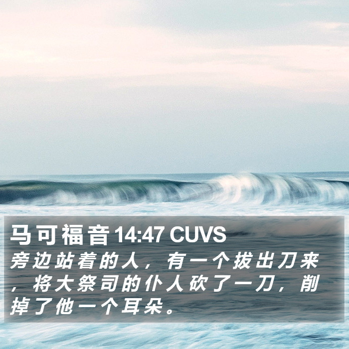 马 可 福 音 14:47 CUVS Bible Study