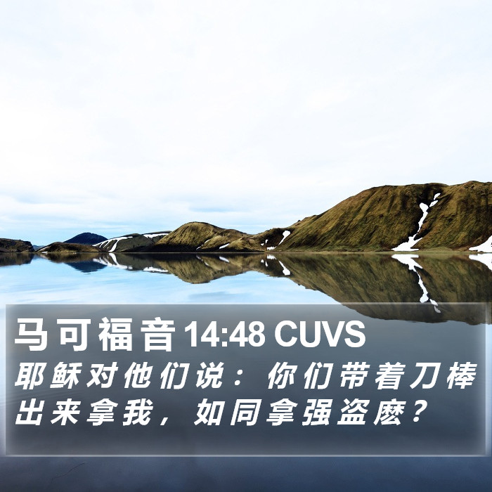 马 可 福 音 14:48 CUVS Bible Study