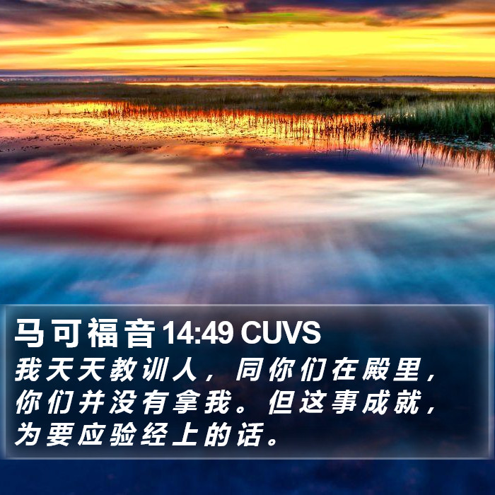 马 可 福 音 14:49 CUVS Bible Study