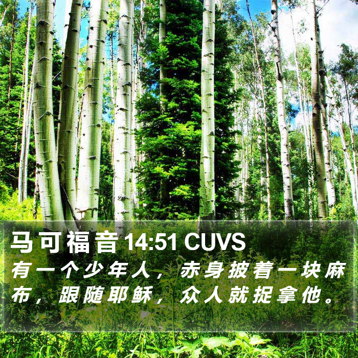 马 可 福 音 14:51 CUVS Bible Study