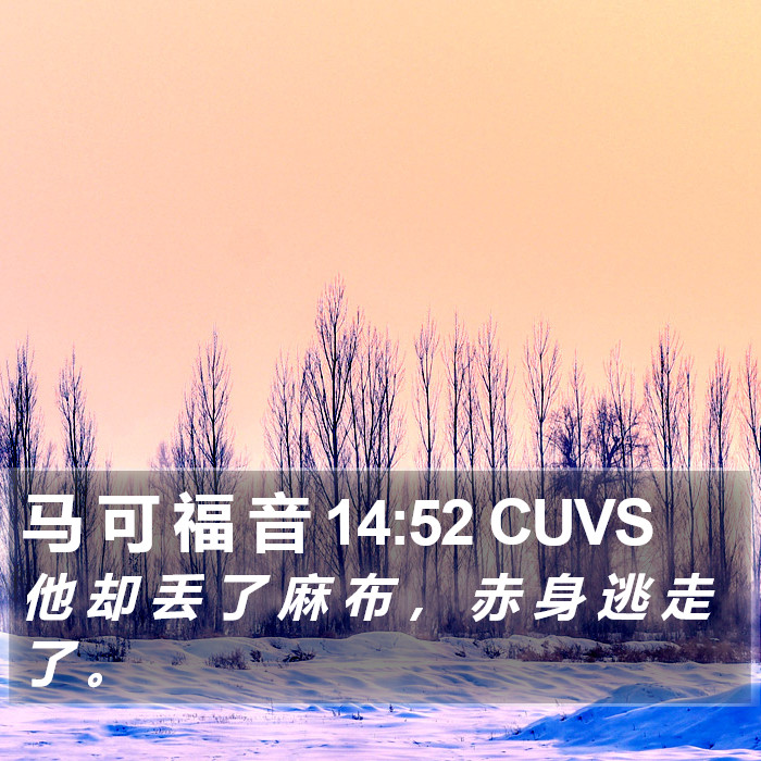 马 可 福 音 14:52 CUVS Bible Study