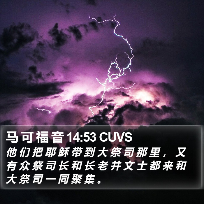 马 可 福 音 14:53 CUVS Bible Study