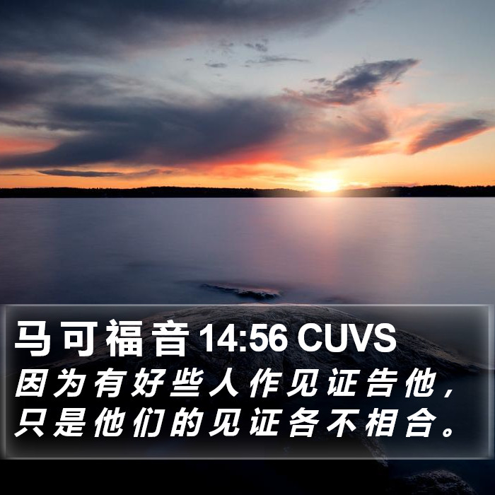 马 可 福 音 14:56 CUVS Bible Study