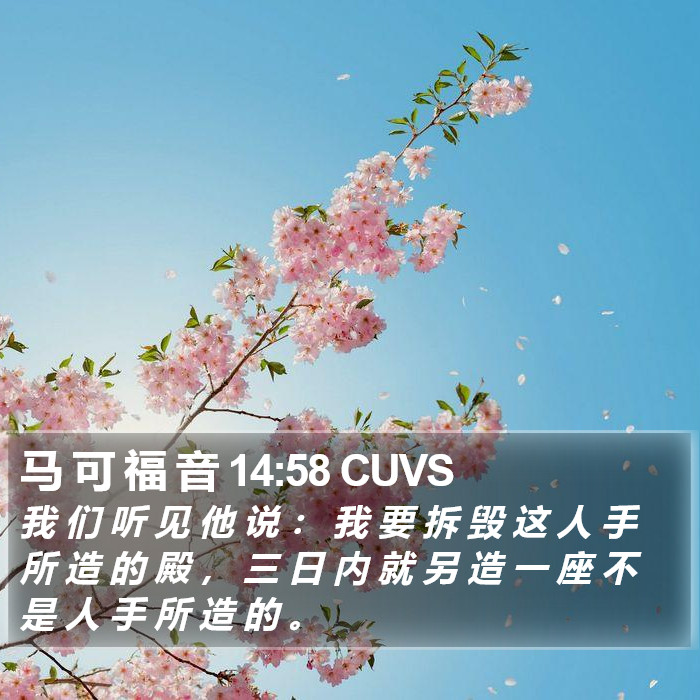 马 可 福 音 14:58 CUVS Bible Study