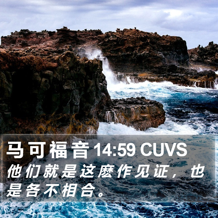 马 可 福 音 14:59 CUVS Bible Study