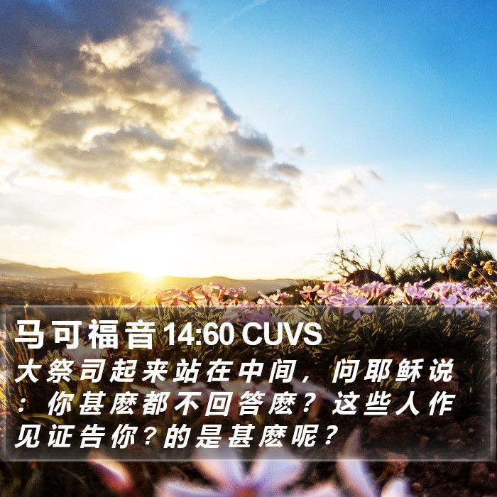 马 可 福 音 14:60 CUVS Bible Study