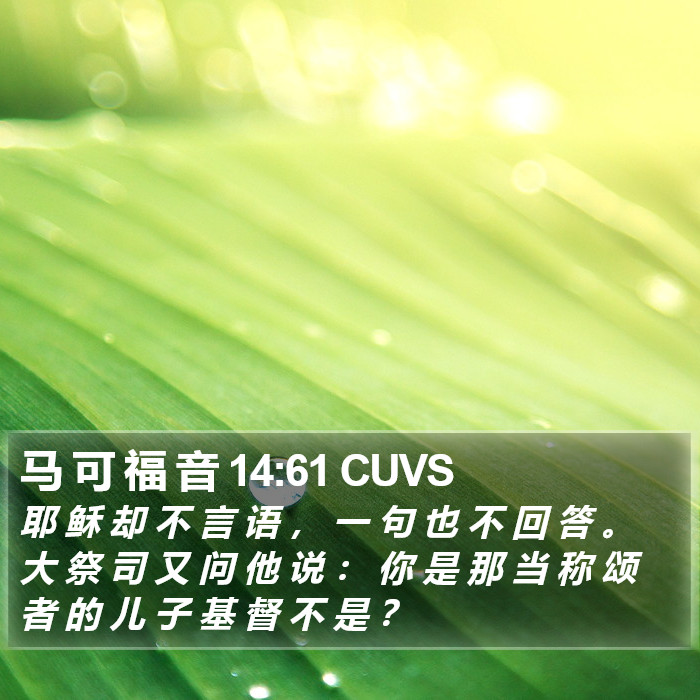 马 可 福 音 14:61 CUVS Bible Study