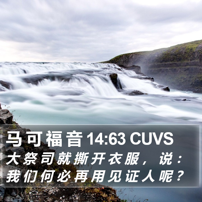 马 可 福 音 14:63 CUVS Bible Study